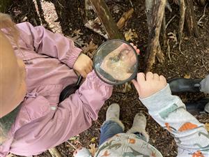 A child observing a salamander under a magnifying glass