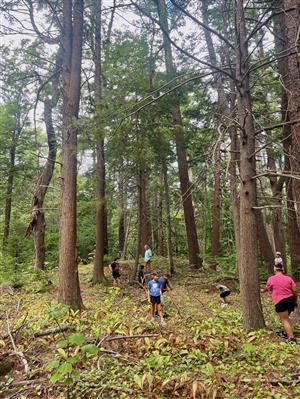 Children Exploring Forest 