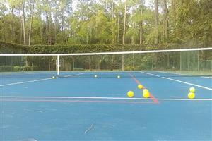 Pickleballs on Court